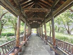 -长兴太湖图影湿地文化园