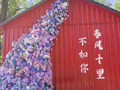 -北陵公园