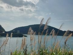 -长沙黑麋峰国家森林公园