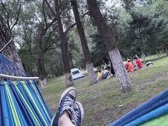 -长白岛森林公园