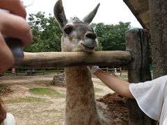 -西安秦岭野生动物园