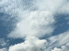 -老东风菜馆·潮汕大排档