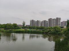 -新江湾城公园