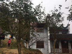 -光明港公园