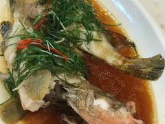 -四海之家(蛇口店)