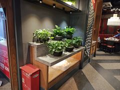 -辣尚瘾·烤鱼·新川菜(交大直营店)
