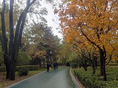 -迎泽公园