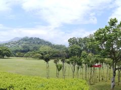 -福建鲤鱼洲酒店