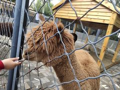 -长白岛森林公园