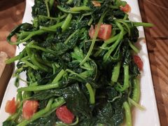 素炒板蓝根-老滇山寨•云南特色菜•地方菜•民族风情歌舞表演(金碧店)