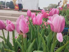 -北陵公园