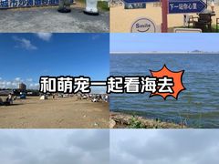 -上海金山城市沙滩