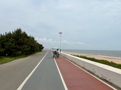 -日照海滨国家森林公园