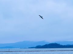 -西山风景区