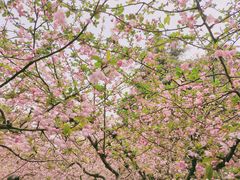 -白塘生态植物园