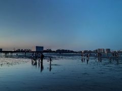 -南汇新城海滩