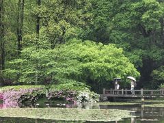 -杭州植物园