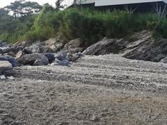 -大连蚂蚁岛度假区