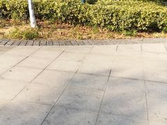 -苏州市立医院(白塔院区)