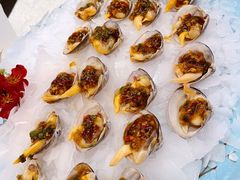 冰鲜黄蚬子-渔娘渔家丹东海鲜(东直门店)