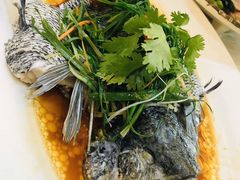 -有腥气私房菜·寻味顺德