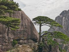 -黄山风景区