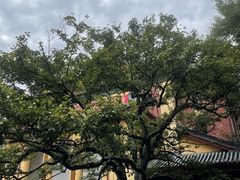 -桂林独秀峰王城景区