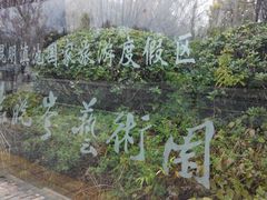 android_upload_pic-袁晓岑艺术园