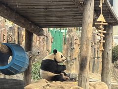 -大连森林动物园