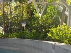 -碧水湾温泉