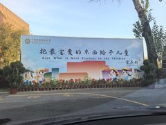 -中国宋庆龄青少年科技文化交流中心