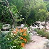 周末深山老林避暑地