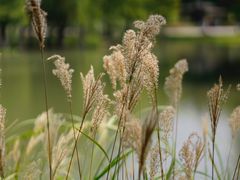 -白塘生态植物园