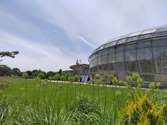 -北京植物园-展览温室