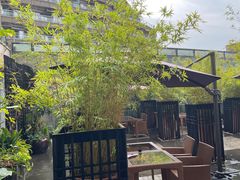 -青藤茶馆(凤起路店)