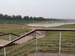 -洨河生态公园
