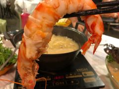 -鲜入围煮花胶鸡海鲜火锅