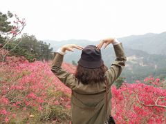 -木兰云雾山