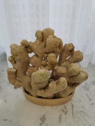 -敦南舒悦月子会所(南湖店)