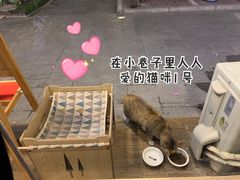 -Poke lemon海鲜波奇饭·柠檬茶(金碧开放小区店)