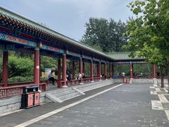 -莲花池公园