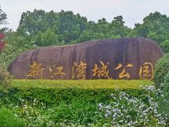 -新江湾城公园