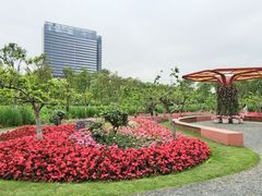 -春花秋色城市公园