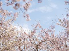 -龙美术馆(西岸馆)