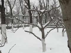 -木塔寺遗址生态公园