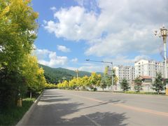 -豆花酒楼·三十八年匠心(秦皇东大街店)