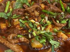 火爆脆肠-杨三孃跷脚牛肉(美洲花园店)