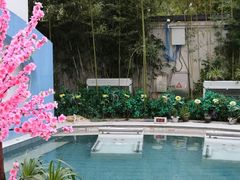 -海德温泉生活馆(朝阳大悦城店)