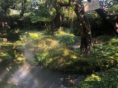 -Chom Cafe and Restaurant