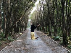-大湾区中央湿地公园